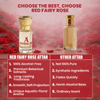 Aaspiring King Red Fairy Rose Premium Attar 6 ML AK04